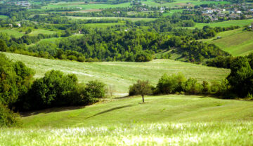 Leggi: «Il racconto della bellezza del paesaggio…»